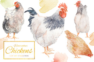 Watercolour Chickens