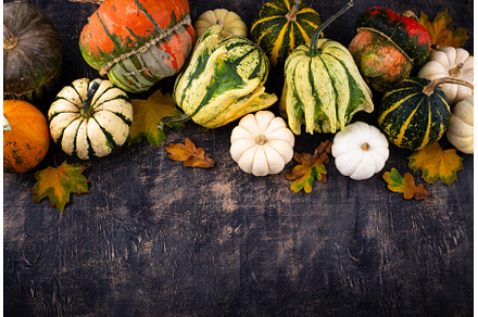Autumn fall background with pumpkins, a Food & Drink Photo by Yulia Furman