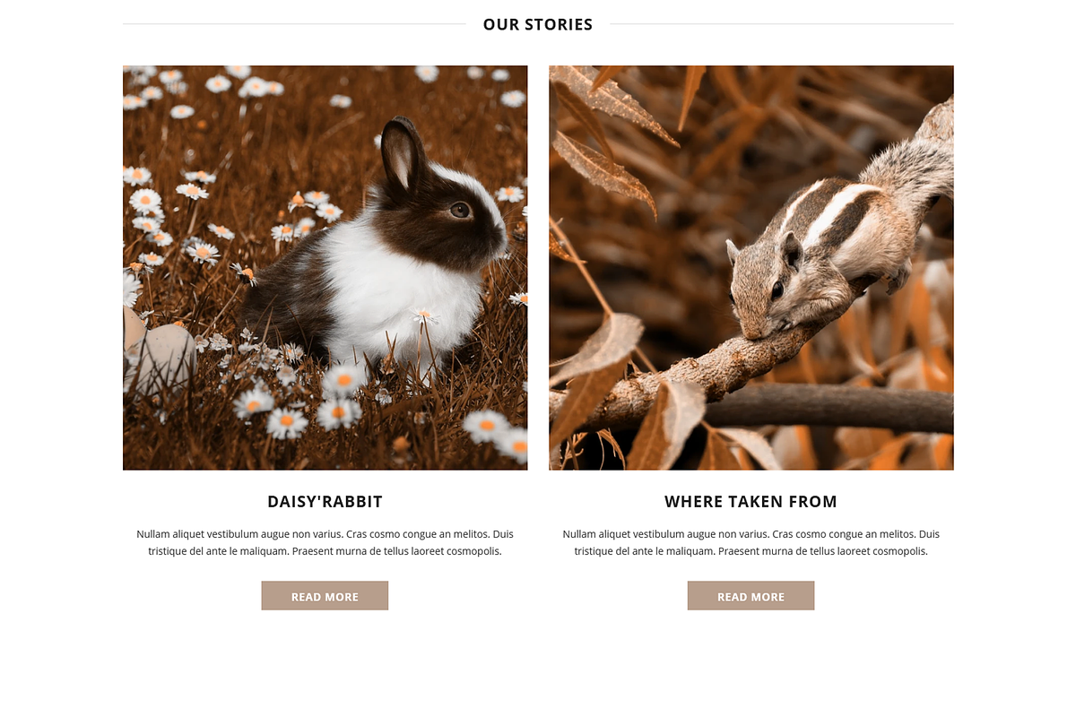 NUTRIMED - Shopify Theme, a Shopify Template by inSTUDIO43 (Photo 5 of 9)
