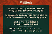 Williesh - Unique Display Serif, a Serif Font by Almarkhatype (Thumbnail 9 of 10)
