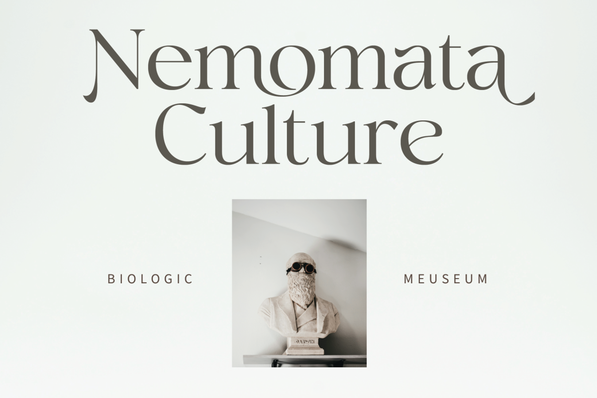 Megalky | Modern Elegant Serif Font, a Serif Font by Rissyletter Studio (Photo 8 of 12)