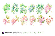 Watercolor Grapes Clipart, an Object Illustration by crafty (Thumbnail 8 of 11)