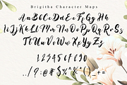 Brigitha // Elegant Script Font, a Script Font by Aldedesign (Thumbnail 9 of 10)