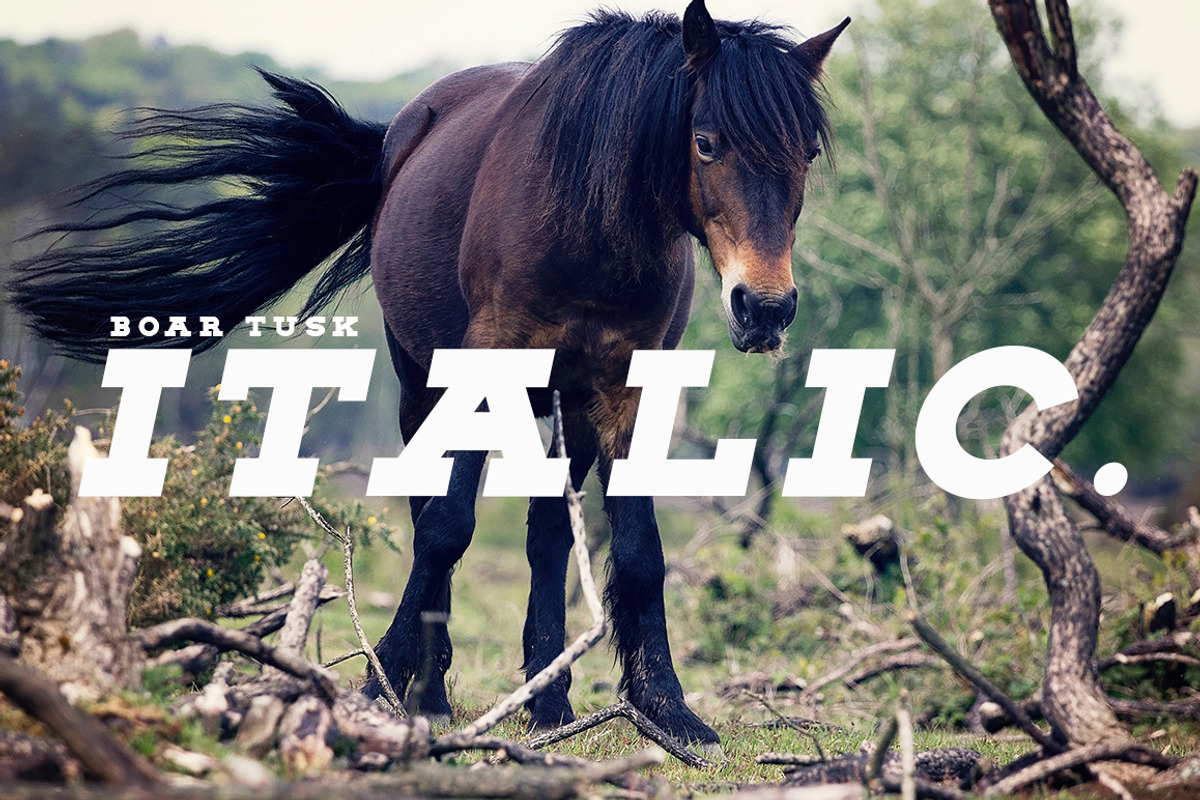 BOAR TUSK Font Family preview 6