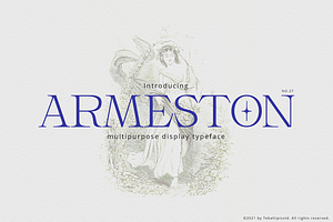 Armeston - Modern Serif