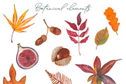 Watercolor Autumn Hand-drawn Clipart, a Seasonal Illustration by Visual Animal (Thumbnail 2 of 5)