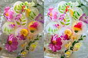 30 Flowers Lightroom Collection, a Preset Add-On by 3Motional (Thumbnail 9 of 11)
