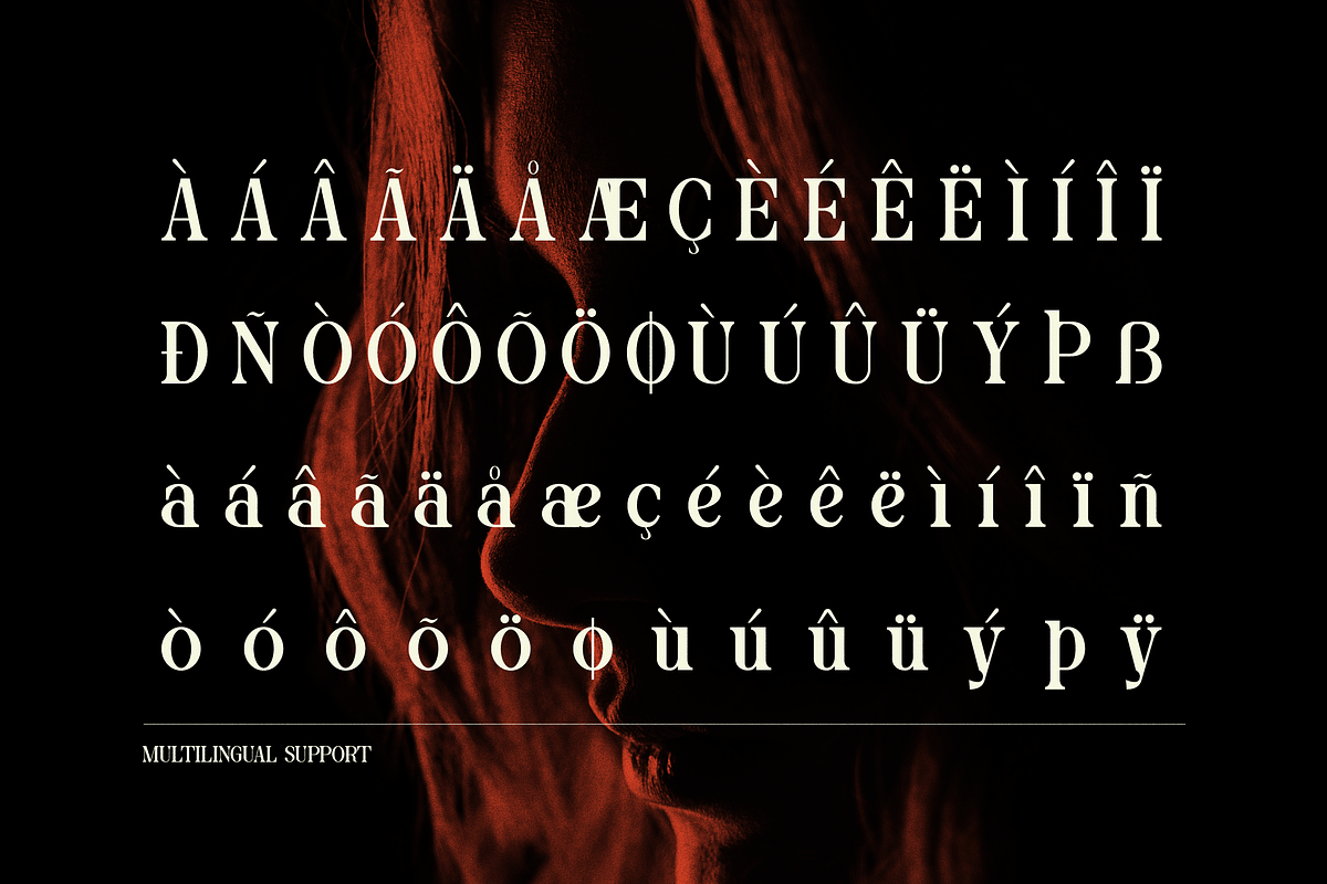 Blind Hojil | Display Serif Font, a Serif Font by Denustudios (Photo 14 of 14)