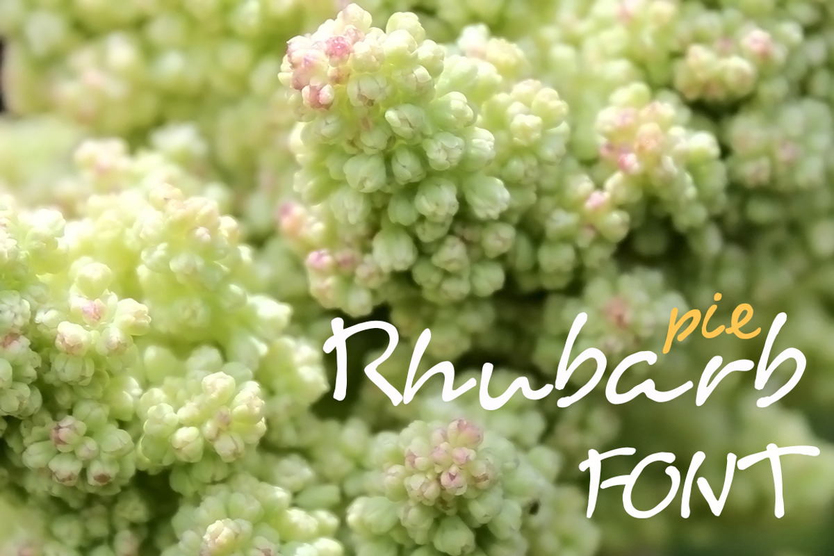 Rhubarb pie font