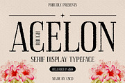 Acelon Rough, a Serif Font by Craft Supply Co. (Thumbnail 1 of 8)