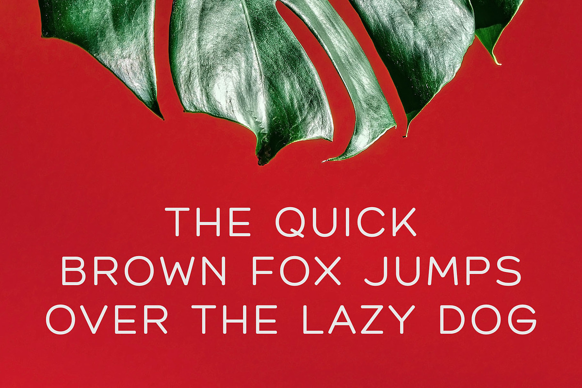 Gremiro - Modern Sans Serif, a Sans Serif Font by Typeformers (Photo 2 of 5)