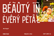 Robine Rough, a Sans Serif Font by Craft Supply Co. (Thumbnail 6 of 8)