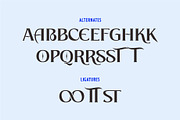 BEACH STONE | Modern Serif Font, a Serif Font by Havinkpen (Thumbnail 7 of 7)
