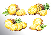 Tropical Pineapple. Hand painted, a Food Illustration by Daria Ustiugova (Thumbnail 2 of 28)