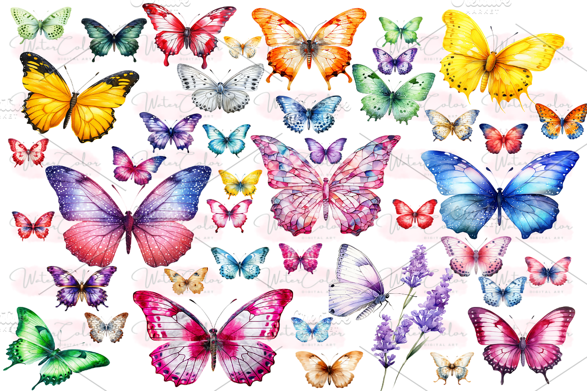 Botanical Butterfly Clipart Decor, a Decorative Illustration by Watercolor Digital (Photo 3 of 9)