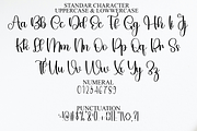 Brighting Signature, a Handwritten Font by FreshTypeINK (Thumbnail 6 of 8)