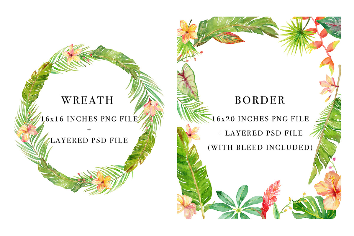 Sale- Tropical Botanicals Set, an Illustration by Art by Lin (Photo 4 of 7)