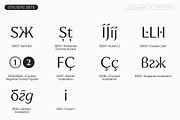 TT Quaris, a Serif Font by TypeType (Thumbnail 14 of 15)