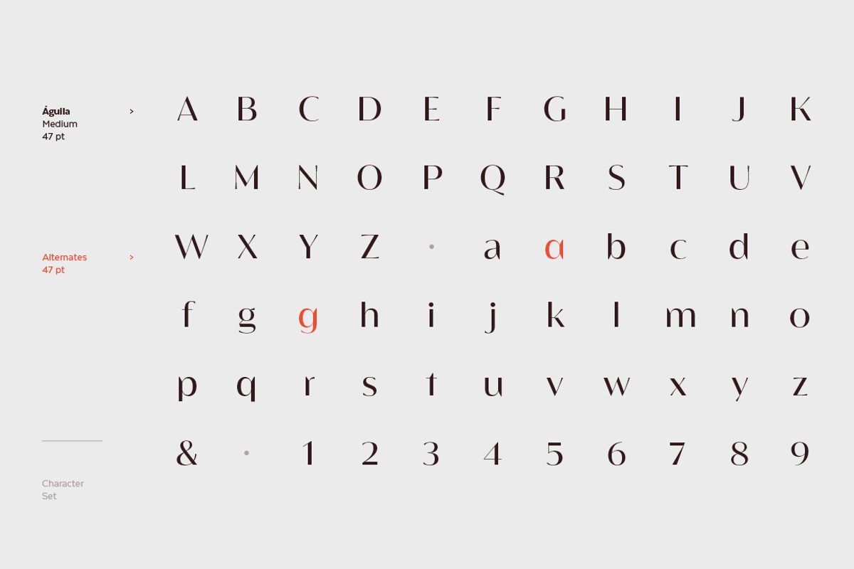 Águila, a Sans Serif Font by Latinotype (Photo 15 of 15)