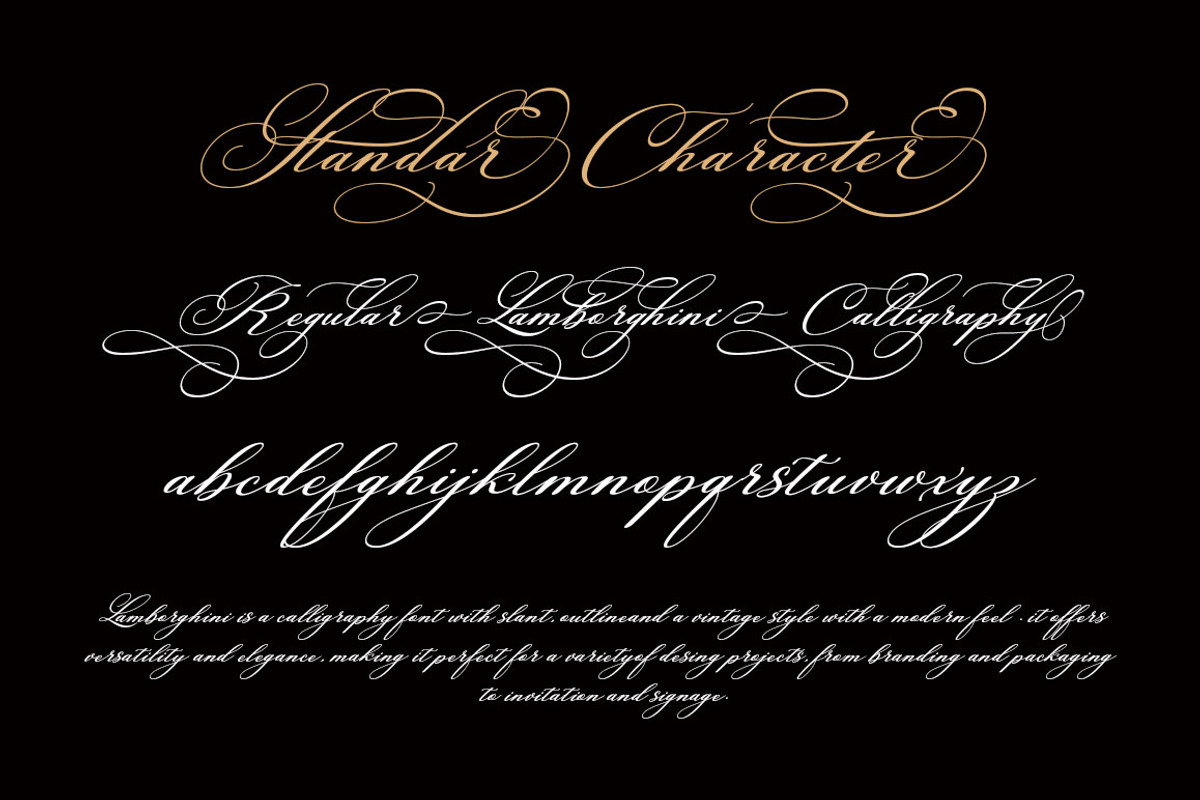 Lamborghini Script, a Script Font by Has_rizal (Photo 4 of 13)