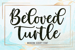 Beloved Turtle