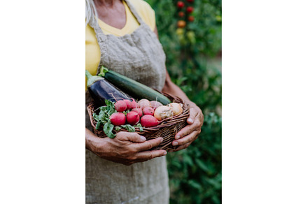 Close-up of senior farmer holding, a Person Photo by HalfPoint