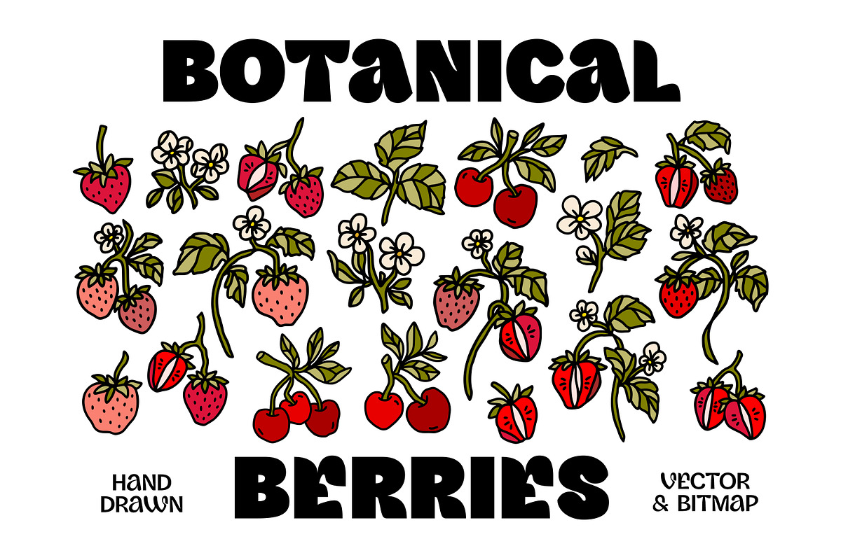 Hand Drawn BOTANICAL BERRIES, an Object Graphic by Artflorara (Photo 1 of 9)