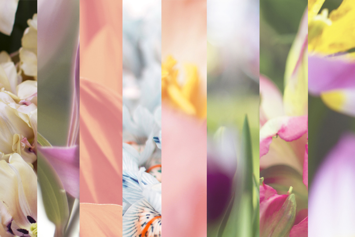 Botanicals, a Background Graphic by AmethistLab (Photo 3 of 4)