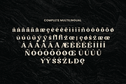Transcity - A Playful Serif, a Serif Font by Dharmas Foundry (Thumbnail 14 of 16)