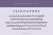 Lilac Block Weight Variable Serif, a Font by Roland Huse Design (Thumbnail 4 of 6)