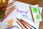 Tropical plants., an Illustration by yulia.sukhanova (Thumbnail 1 of 3)