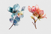 Watercolor Flowers, a Decorative Illustration by BazziBa♥ (Thumbnail 4 of 9)
