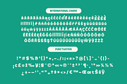 Skatyn Gator Modern Bold Serif, a Serif Font by timelesstype.co (Thumbnail 14 of 15)