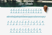 Quality Brazilian Font, a Script Font by alit design (Thumbnail 14 of 20)