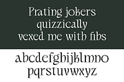 Lamonela - Serif Display Font, a Serif Font by Typetemp Studio (Thumbnail 4 of 21)
