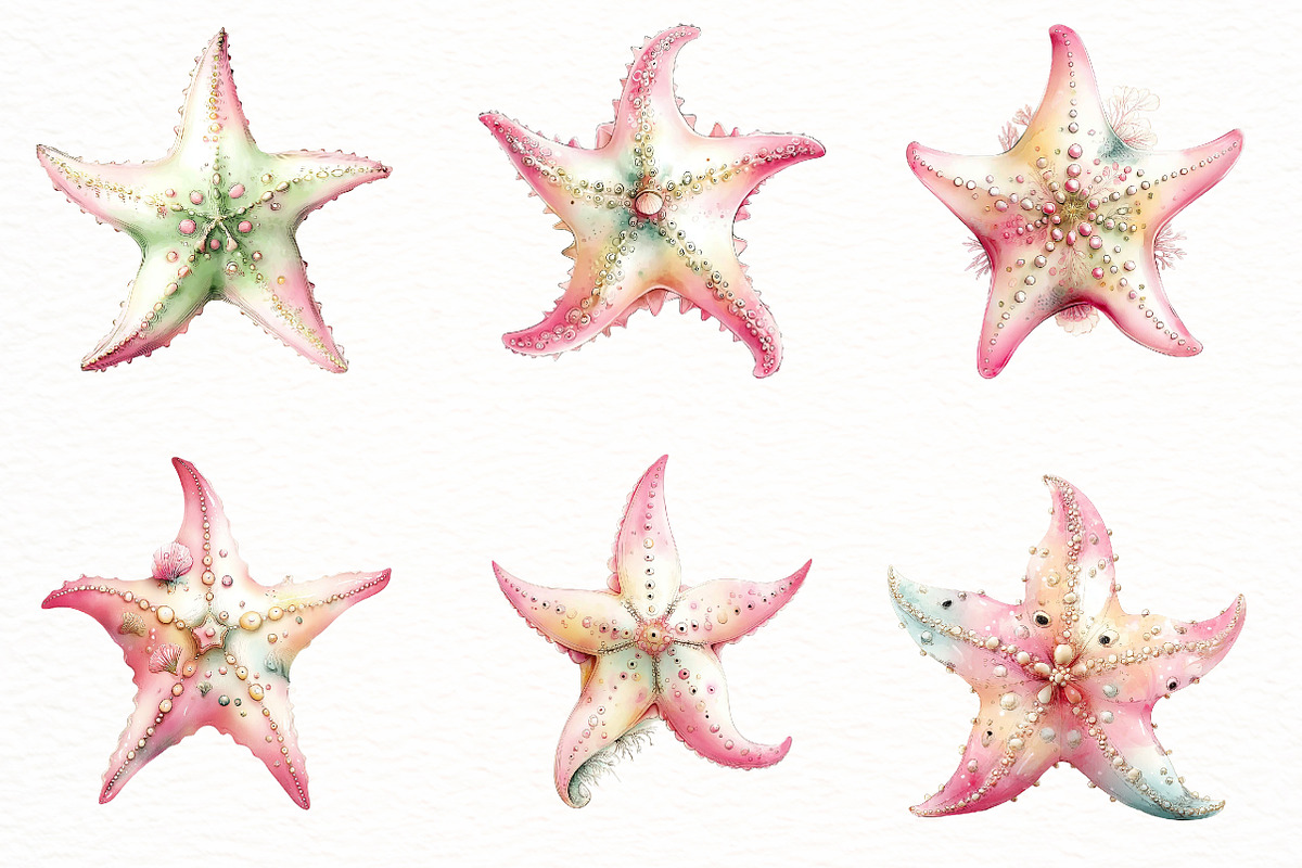 Whimsical Summer starfish clipart, an Illustration by Designworld (Photo 5 of 8)