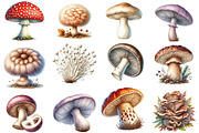 Edible Mushrooms Sublimation Clipart, an Illustration by SinaCreation (Thumbnail 2 of 5)