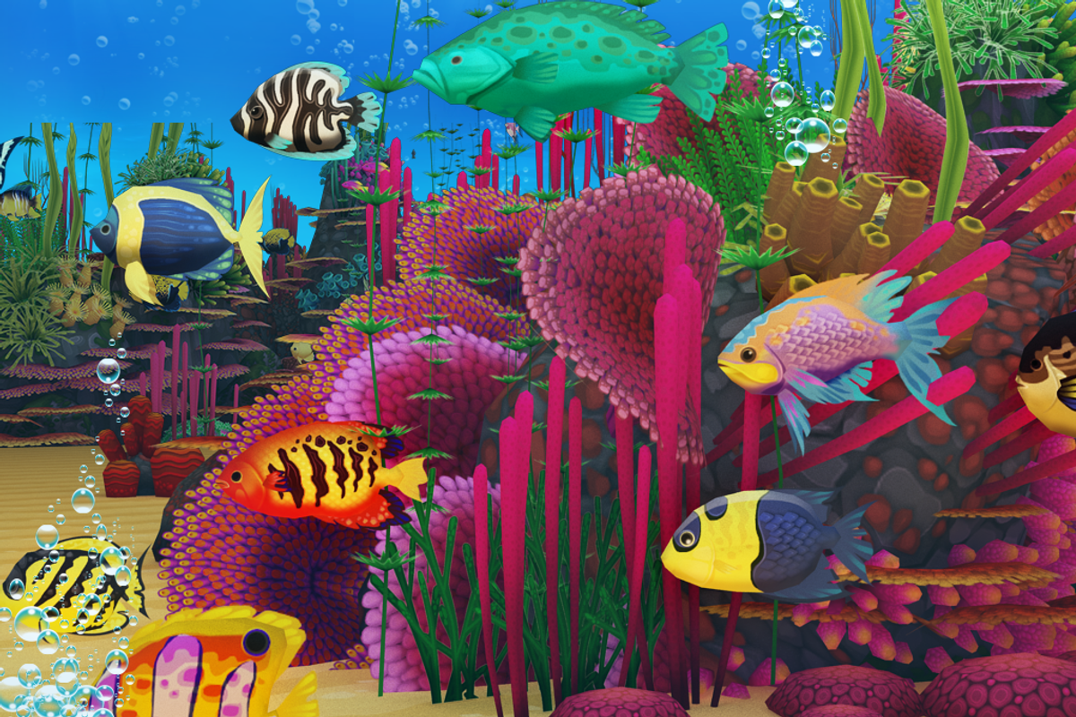 Colorful Sea Fish, an Animal 3D Model by Souchenki (Photo 4 of 4)