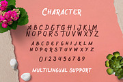 Wreckout - Decorative Brush Font, a Handwritten Font by StringLabs (Thumbnail 12 of 13)