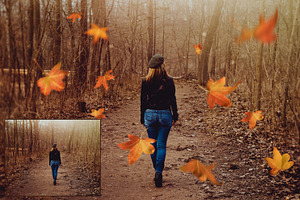 Falling Leaves Overlays