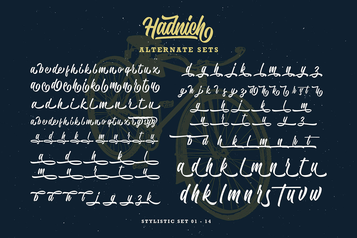 Hadnich - Modern Script, a Script Font by Arterfak Project (Photo 16 of 16)