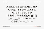 Harmonie Glamour - Modern Font Duo, a Serif Font by TropicalSunlightCo. (Thumbnail 9 of 14)
