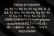 Naolen || Modern Elegant Serif Font, a Serif Font by Ermedia Studio (Thumbnail 10 of 10)