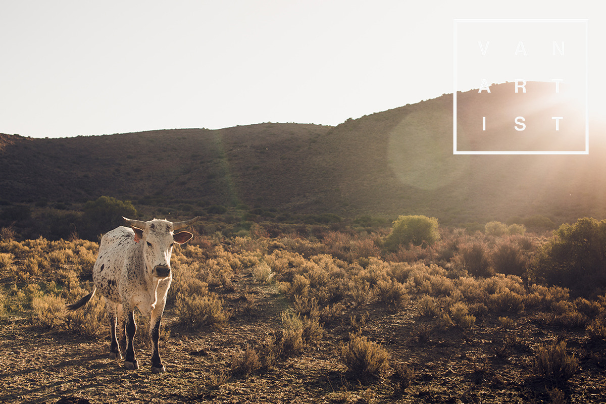 10 Roadtrip Lightroom Presets, an Action Add-On by Vanartist Presets (Photo 6 of 10)