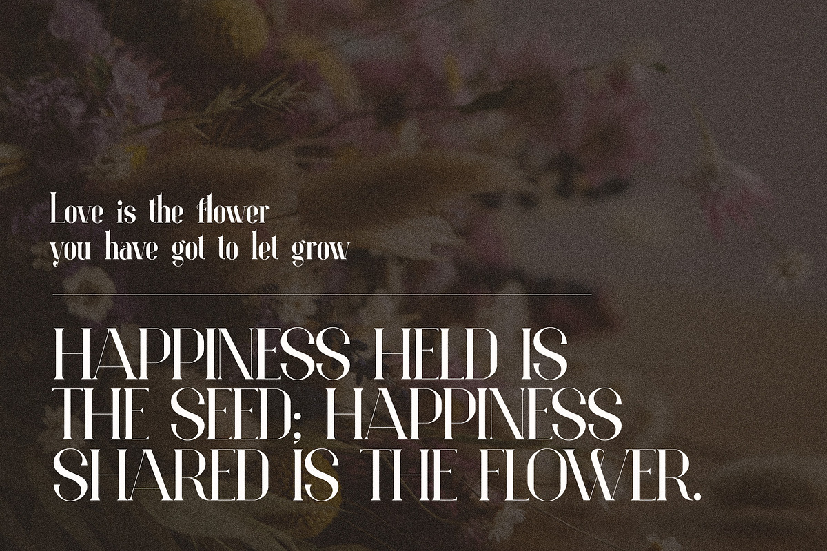 Angilia Elegant Ligature Serif Font, a Serif Font by Perfectype (Photo 6 of 9)