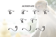 Monkey | Script Font, a Handwritten Font by Scratchones (Thumbnail 8 of 9)