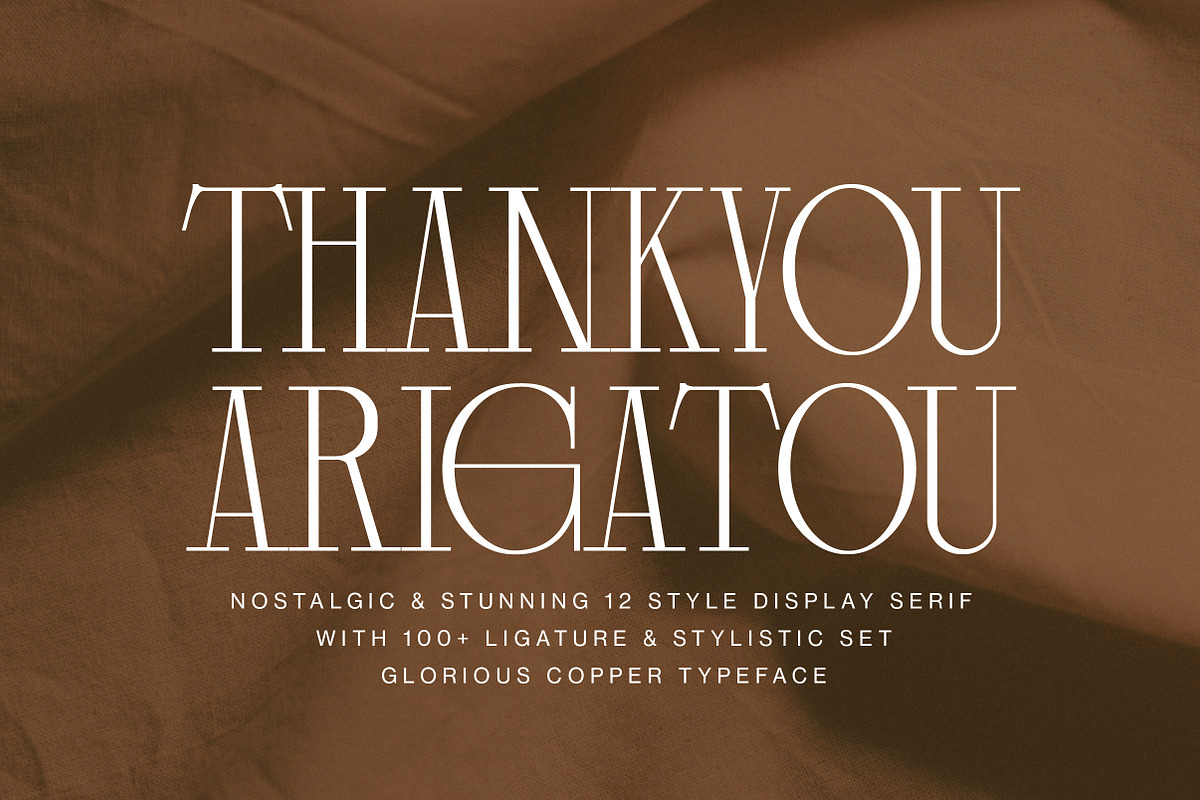 Glorious Copper Family, a Serif Font by Lettertype Studio (Photo 20 of 20)