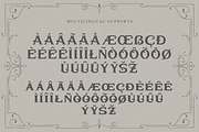 Bullhawk for Logo & Vintage Branding, a Serif Font by ilhamtaro (Thumbnail 16 of 19)