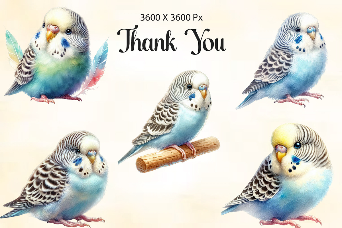 Watercolor Baby Budgerigar Clipart, an Illustration by CraftArtStudio (Photo 3 of 3)