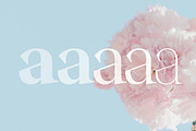 Stability, a Serif Font by OceaneM (Thumbnail 3 of 7)